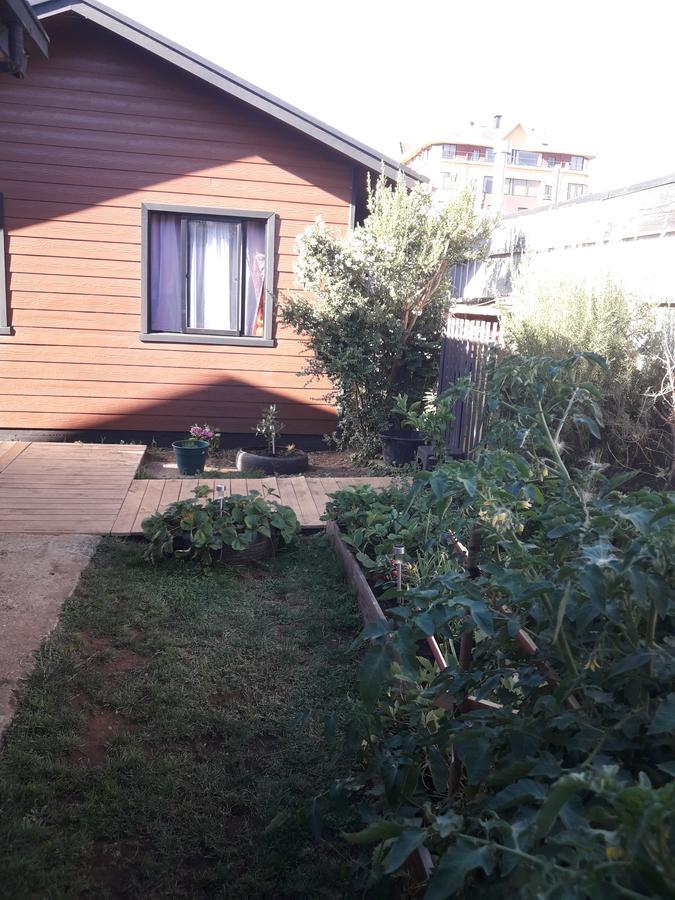 Cabanas Mister Nelson Valdivia Exteriér fotografie